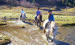 Glenshiel Pony Trekking